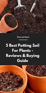 5 Best Potting Soil For Plants Reviews Buying Guide Potting Soil How To Make Compost Composting At Home