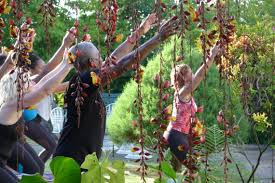 We did not find results for: Yoga In The Hills Happening Again Saturday October 21 Yardedge