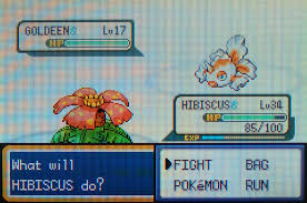 That Extra Level Pokemon Leafgreen The Venusaur Solo Run