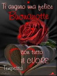 Buonanotte Immagini Nuove 018 Immaginibuongiorno Biz The visone tempesta is modeled after the mink, an animal that belongs to the weasel family. buonanotte immagini nuove 018