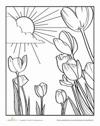 Tulip Worksheet Education Com Flower Coloring Pages Spring Coloring Pages Spring Coloring Sheets