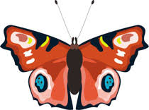 Download in under 30 seconds. Butterfly Clipart Clipart Clip Art Vectors Graphics Illustrations
