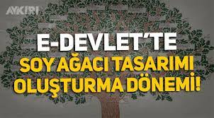 Dsxuxuos 8oxmm