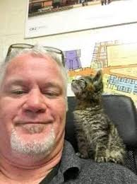 Kitten Rescued from Being Glued to the Road