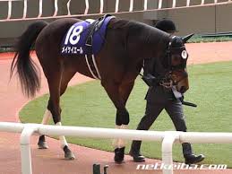 ほうずきみたいに紅い魂 ⅱ ルーネイトエルフ ⅲ 上海紅茶館 ～ chinese tea ⅳ ヴワル魔法図書館 ／ ラクトガール ～ 少女密室 ⅴ メイドと血の懐中時計 ／ 月時計 ～ ル. ãƒ¡ã‚¤ã‚±ã‚¤ã‚¨ãƒ¼ãƒ« ç«¶èµ°é¦¬ãƒ‡ãƒ¼ã‚¿ Netkeiba Com