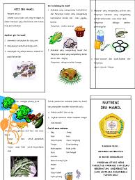 Menyebutkan nutrisi apa saja yang di butuhkan ibu hamil dengan benar d. Leaflet Gizi Ibu Hamil Doc
