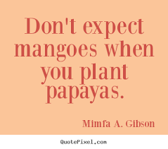 Expect Success Quotes. QuotesGram via Relatably.com