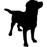 Download Rottweiler Vector Image Free Svg