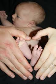 Photography by Trisha Barr