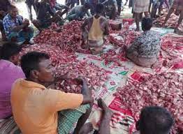 Qurbani of camel in saudi arabia 2017ansari gaming. Order Qurbani 2020 Online Sheep Goat Cow Or Camel Islam Freedom Services
