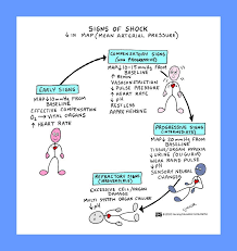 Signs Of Shock Nursing School Notes Nursing School Survival Pediatric Nursing