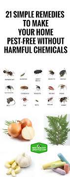 21 Simple Remedies To Make Your Home Pest Free Without Harmful Chemicals Remedies Home Remedies Fitness Healthy Lifestyle