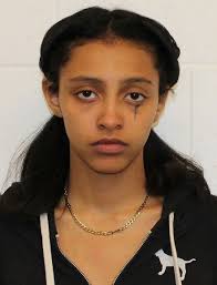 Adams County, Illinois Archives