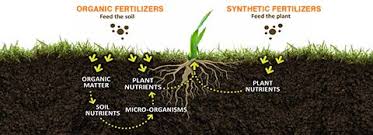 I keep seeing this search and thought about it for a bit. 21 Organic Fertilizers And How To Use Them In Your Garden Epic Gardening Organic Lawn Care Organic Plants Organic Lawn