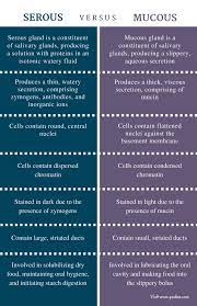 Difference Between Serous And Mucous Definition Glands And Secretion Function Medical Knowledge Medical School Studying Medical Terminology Study