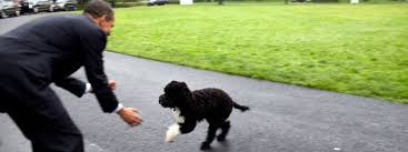 Und bo liebt offenbar weihnachten. Obama Lasst Sich Uber Die Schulter Schauen