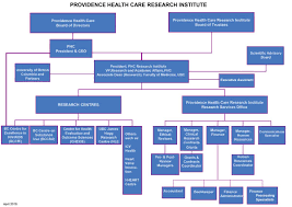 36 Meticulous Health Care Organizational Chart