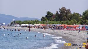 Η παραλία στο πευκί είναι άκρως οργανωμένη και τεραστίων διαστάσεων, δίνοντας σου τη δυνατότητα να απολαύσεις το μπάνιο με την παρέα σου (όσο μεγάλη και αν είναι αυτή) χωρίς φόβο μήπως δεν βρεις κάπου να κάτσεις. Pefki Beach