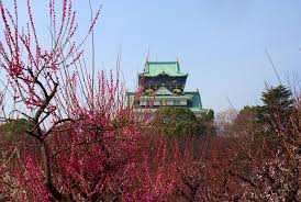 The osaka castle area is in osaka city. Groovy Osaka Free Plum Blossom Viewing Gaijinpot