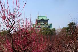 Osaka castle fountain japan outdoor park travelphotography trees. Groovy Osaka Free Plum Blossom Viewing Gaijinpot