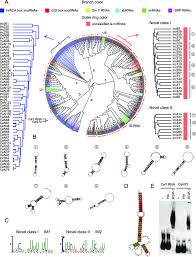 We did not find results for: Structure Based Analysis Of The Novel Is Ncrnas A Clustering Of The Download Scientific Diagram