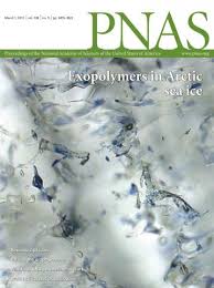 Anitta pre pa ra ( rana suzana dança e muitoo). Global Land Use Change Economic Globalization And The Looming Land Scarcity Pnas