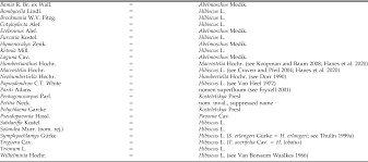 Image result for Kosteletzkya buettneri