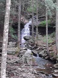 Maybe you would like to learn more about one of these? Pretty Little Water Fall Picture Of Gunpowder Falls State Park Bradshaw Tripadvisor