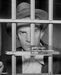 715 Peter Levine Stock Photos, High-Res Pictures, and Images