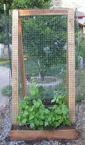 How To Make An Interesting Art Piece Using Tree Branches Ehow Vertical Vegetable Gardens Diy Garden Trellis Small Vegetable Gardens