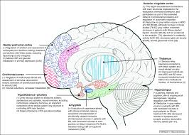 Bipolar disorder, formerly known as manic depression, is a mental disorder that causes extreme highs and lows in mood known as mania and the most effective treatment for bipolar disorder combines medication and psychotherapy. Mood Stabilizing Drugs Mechanisms Of Action Trends In Neurosciences