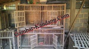 Gambar Kandang Ayam Bangkok Yang Bagus Koleksi Kandang Ayam Kampung Bahan Bambu Dan Kayu Balok Kumpulan Kandang Ternak Ayam Kam Kandang Ayam Bangkok Desain