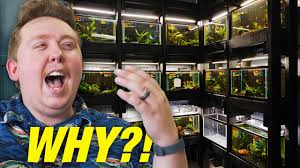 He Modeled His Fish Store After Aquarium Co-Op!