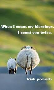 When I Count My Blessings I Count You Twice Meaning In Telugu Irish Proverb Animals Irish Quotes Sheep