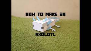 So even though minecraft's axolotl population has some specific restrictions determining where they'll spawn, comfort yourself with the knowledge that they're. How To Make A Minecraft Axolotl Youtube