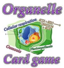 Game Cell Organelles Processes Game Science Cells Biology Classroom Biology Lessons