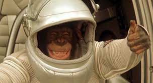 All wiki arcs characters companies concepts issues locations movies people teams things volumes series episodes editorial videos a modern adaptation directed by tim burton based on the 1968 classic planet of the apes. Pericles Planet Of The Apes Wiki Fandom