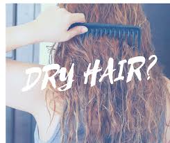To repair dry strands, abramite recommends shampoos and conditioners that contain coconut oil, argan oil, and shea butter. What S The Deal With Dry Hair Joujou Hair Studio