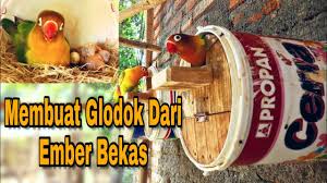 Cara membuat tebok lovebird tebok limited edition. Cara Membuat Glodok Lovebird Unik Ternak Lovebird Kandanglovebird Glodoklovebird Youtube