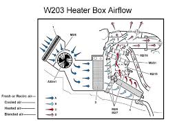 Particles and other debris can get clogged in drain pipes and bacteria can build up. Clean A C Evaporator To Rid Mold Midlew Where How To Access A C Evaporator Drain Mbworld Org Forums