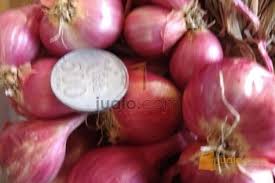Distributor barang kebutuhan rumah tangga | ud. Supplier Bawang Merah Hub 085646542626 Andriawan Jambi Jualo