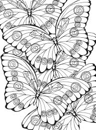 Hundreds of free spring coloring pages that will keep children busy for hours. Pin On Hummingbird Art