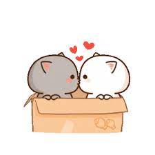 Buka chat individual atau grup. Mochi Mochi Peach Cat Stickers For Whatsapp