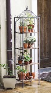 Bird Cage Metal And Wood Display Shelf Etagere Plant Stand Plant Stand House Plants Decor Plants