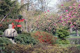 Dies ist unter anderem dem großzügigen nachlass von. Japanischer Garten Karlsruhe Foto Bild Landschaft Garten Parklandschaften Garten Bilder Auf Fotocommunity