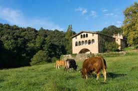 Si decido visitar olot, ¿puedo alquilar casas rurales allí? Casa Rural El Callis Prices Guest House Reviews La Vall De Bianya Spain Tripadvisor