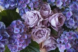 Check spelling or type a new query. Purple Flower Symbolism Meaning Garden Gifts Occasions Uniguide