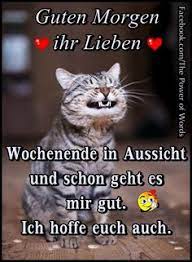 Wie sprüche über das wochenende verschickt werden können, wie die richtigen sprüche und weisheiten gefunden werden und vieles mehr, wird in diesem ratgeber aufgrund dessen sollte der absender sich auch immer genügend zeit zur auswahl der sprüche zum wochenende nehmen. 400 Wochenende Ideen In 2021 Wochenende Wochenende Lustig Schones Wochenende Lustig