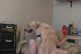 Tags animais art beastiality bilara bizarre blonde brunette c700 caballo cachorro cadela caledonian cavalo coroa dog engatada horse k9 knotty loira morena mulher ninfeta novinha perro sexo teen zoo zoofilia zooskool. Mulher Pervertida Goza Engatada Com Rola Do Cao Boludo Na Xota Zoofilia Gratis