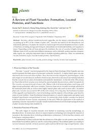 Check spelling or type a new query. Pdf A Review Of Plant Vacuoles Formation Located Proteins And Functions